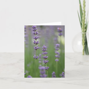 Dainty Lavender Note Card