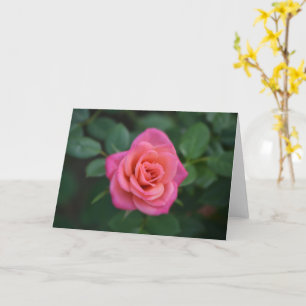 Dainty Pink Rose Note Card