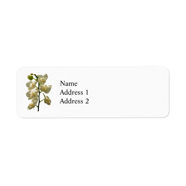 Dainty White Orchids Return Address Label (Front)