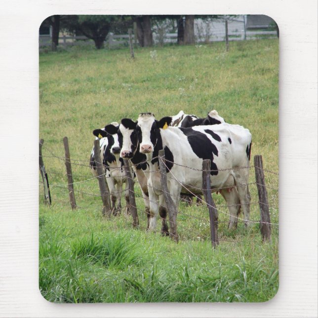 Dairy Cattle Mouse Pad (Front)