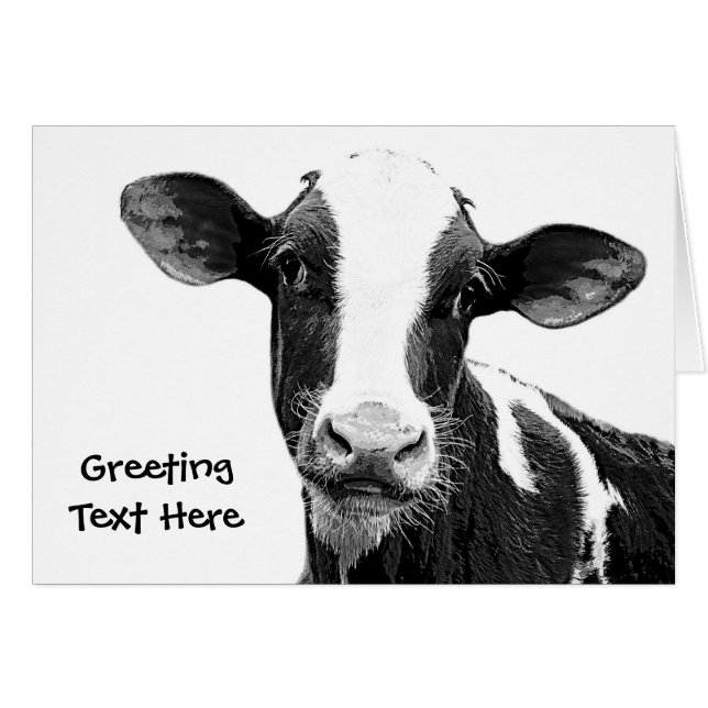 Dairy Cow - Black and White Dairy Calf (Front Horizontal)