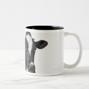 Dairy cow (Bos taurus) on white background Two-Tone Coffee Mug