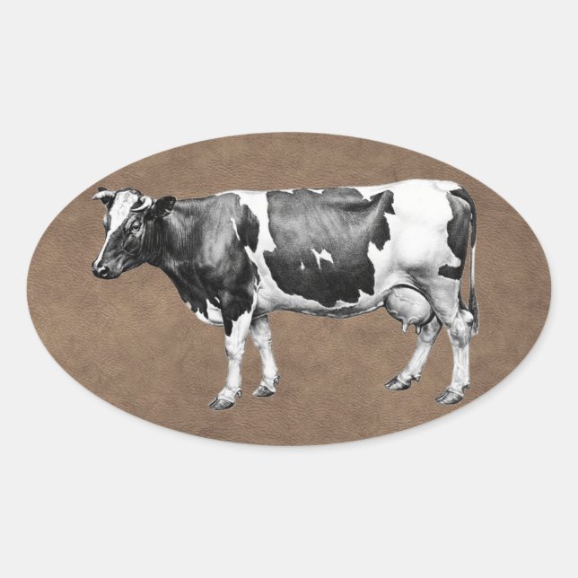 Dairy Cow Oval Sticker (Front)
