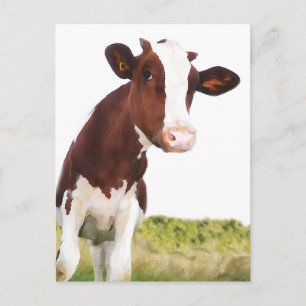 Dairy Cow -  Painted Brown & White Holstein Postcard