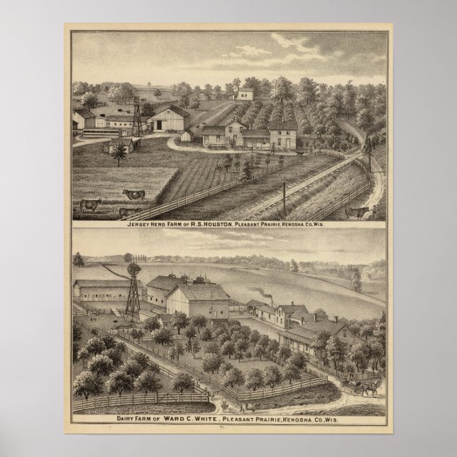 Dairy farms of RS Houston and WC White Poster (Front)