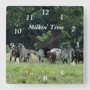 Dairy Goats Clock- customise-choose size Square Wall Clock
