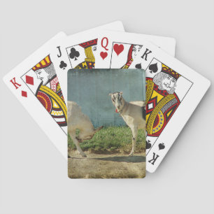 Dairy Goats Playing Cards