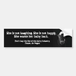 Dairy Lies Bumper Sticker