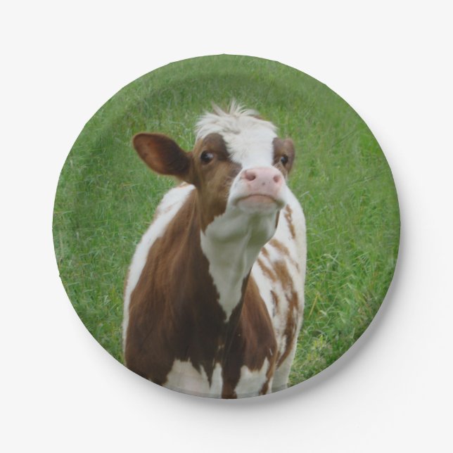 Dairy Milk Cow on the Farm Paper Plate (Front)