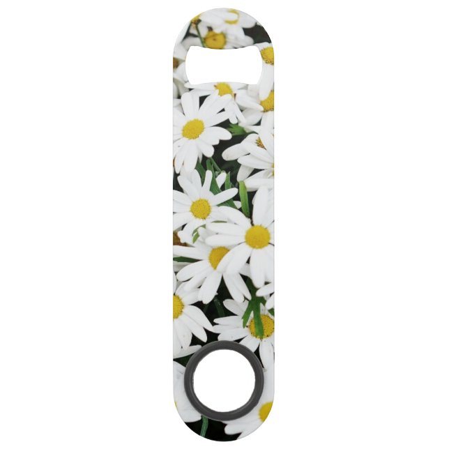 Daisies (Front)