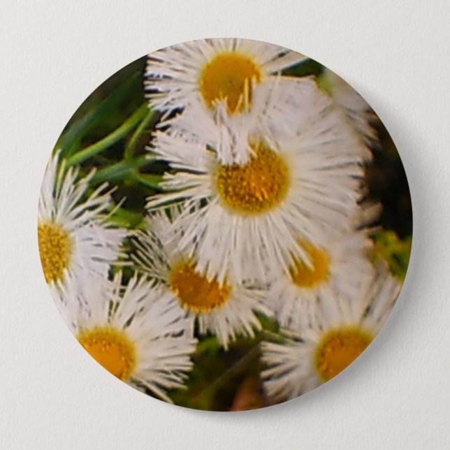 Daisies 10 Cm Round Badge (Front)