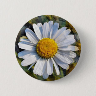 DAISIES 6 CM ROUND BADGE