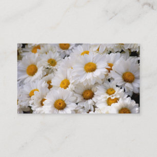 Daisies Abound [Business] Business Card