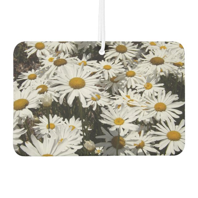 Daisies Air Freshener (Front)