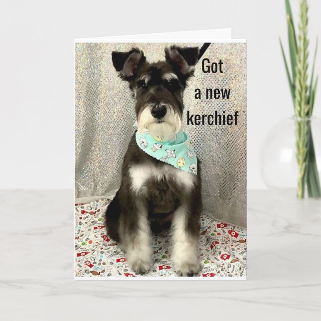 *DAISIES AND HAPPINESS ALL DAY* **BIRTHDAY** CARD (Front)