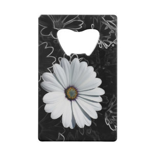 Daisies and shades of grey