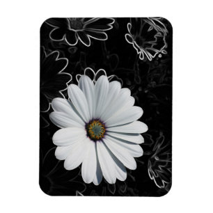 Daisies and shades of grey magnet