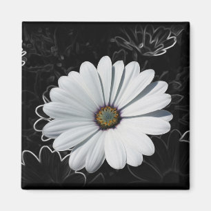Daisies and shades of grey magnet