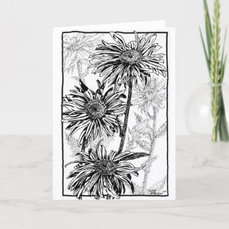 Daisies, black+white, on folded card