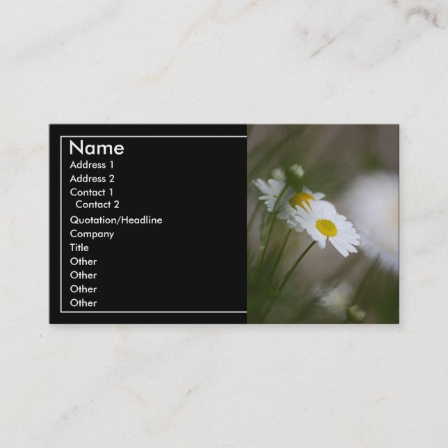 Daisies Business Card (Front)