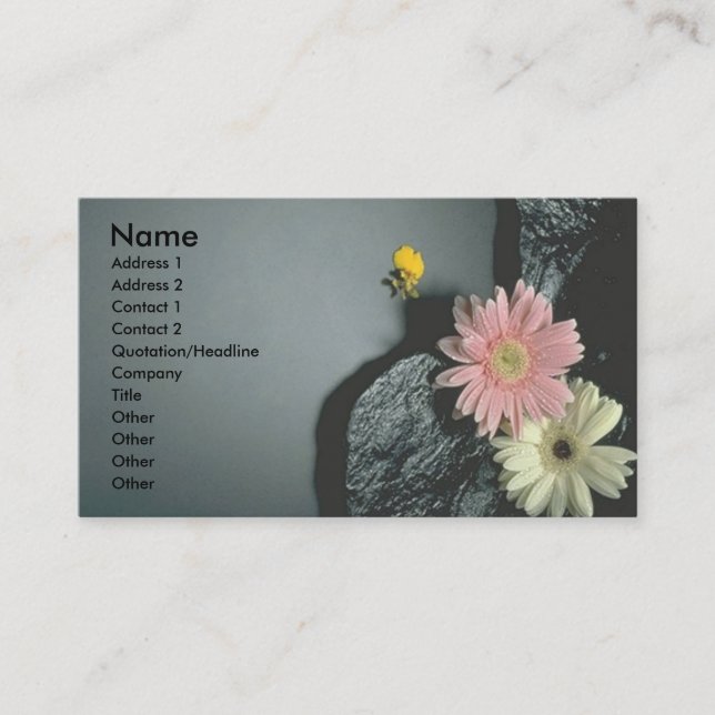 Daisies Business Card (Front)