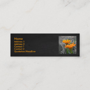Daisies Business Card