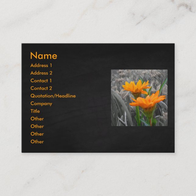 Daisies Business Card (Front)