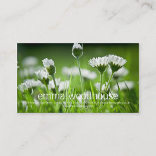 Daisies Business Card