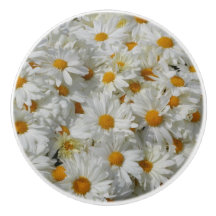 Daisies