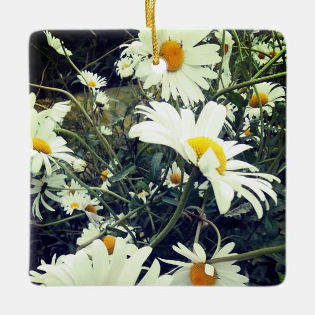 Daisies Ceramic Ornament (Front)