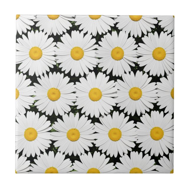 Daisies Ceramic Tile (Front)