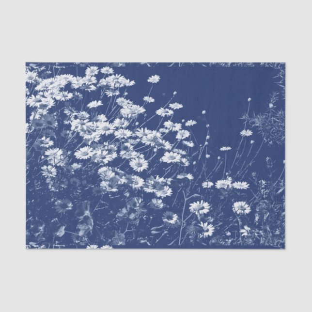 Daisies - Cyanotype Effect Tissue Paper (Front)
