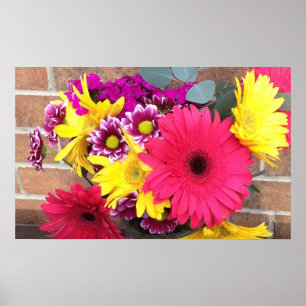 Daisies Flowers Beauty Poster
