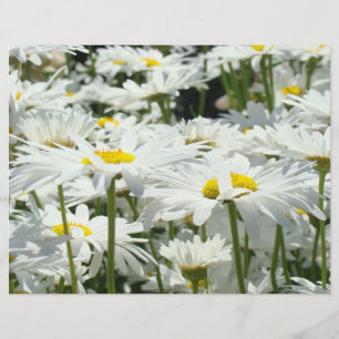 Daisies Flowers Scrapbook paper Themed Designer