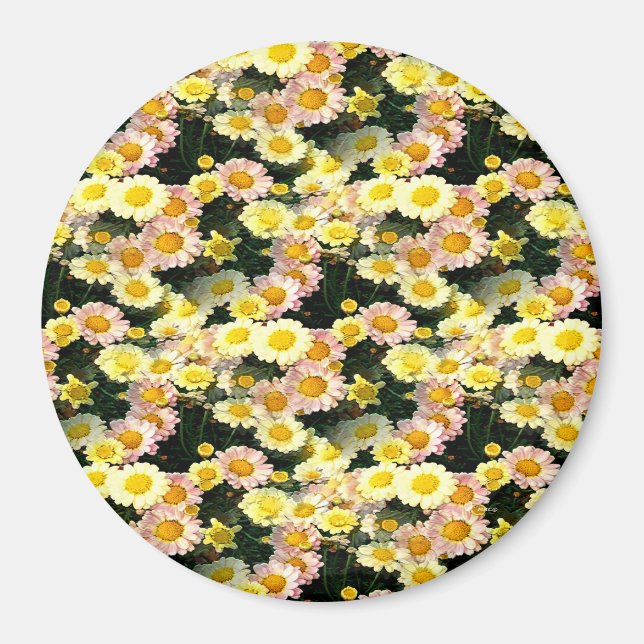 Daisies Galore...... Magnet (Front)