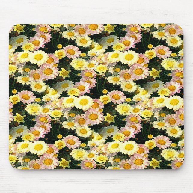 Daisies Galore....... Mouse Pad (Front)
