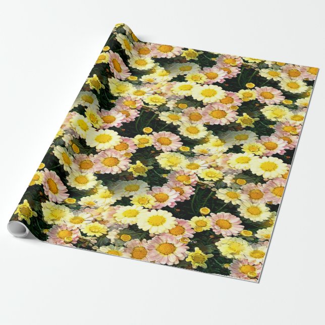 Daisies Galore Wrapping Paper (Unrolled)