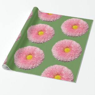 Daisies Glossy Wrapping Paper, 30 in x 6 ft Paper