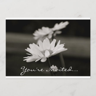 Daisies in Black and White Invitation