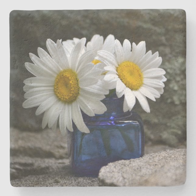 Daisies In Cobalt Inkwell Stone Coaster (Front)