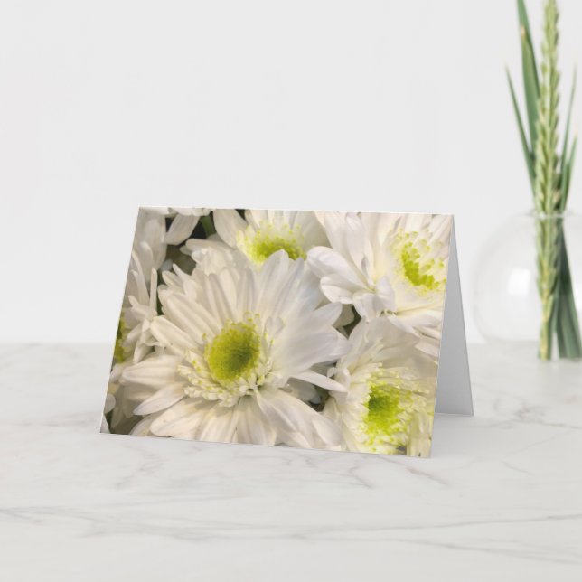 Daisies in the Spring Card (Front)