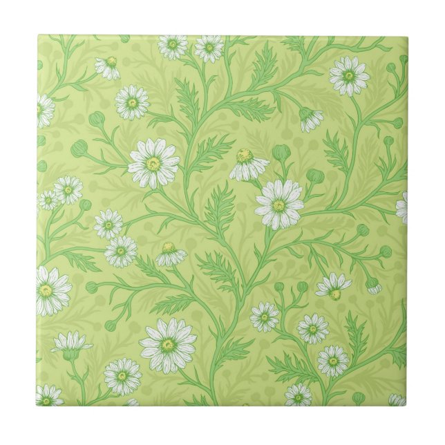 Daisies in white and green on honey dew green ceramic tile (Front)