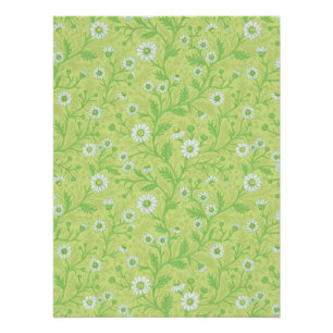 Daisies in white and green on honey dew green poster