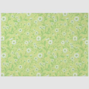 Daisies in white and green on honey dew green tissue paper