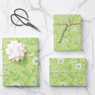 Daisies in white and green on honey dew green wrapping paper sheet