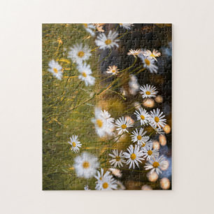 daisies jigsaw puzzle