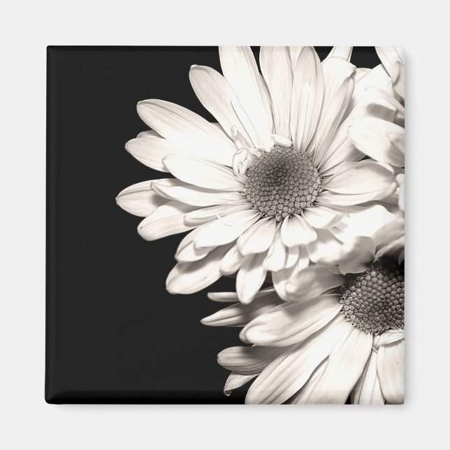Daisies Magnet (Front)