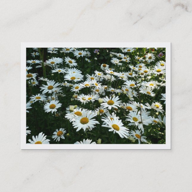 Daisies, Mini Photo Card (Front)