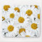 Daisies