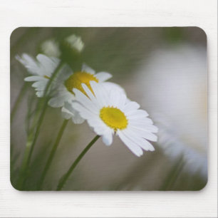 Daisies Mouse Pad